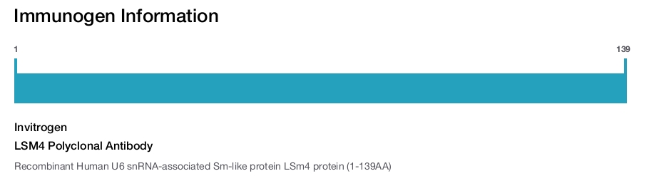LSM4 Polyclonal Antibody