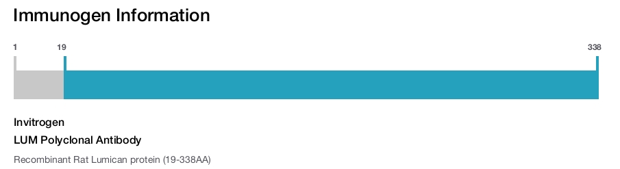 LUM Polyclonal Antibody