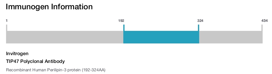 TIP47 Polyclonal Antibody