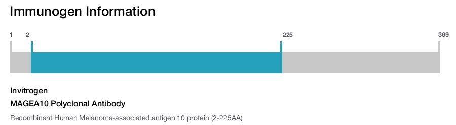 MAGEA10 Polyclonal Antibody