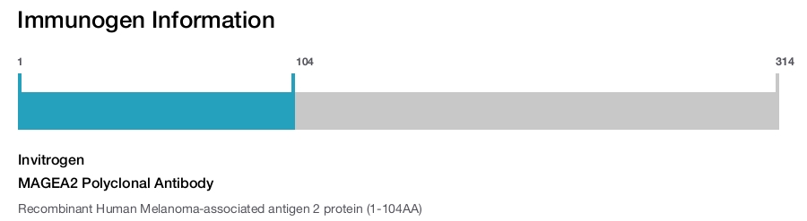 MAGEA2 Polyclonal Antibody
