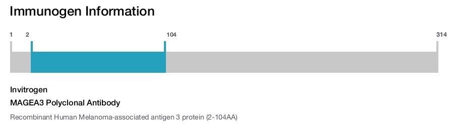 MAGEA3 Polyclonal Antibody
