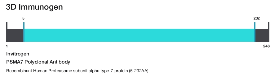 PSMA7 Polyclonal Antibody