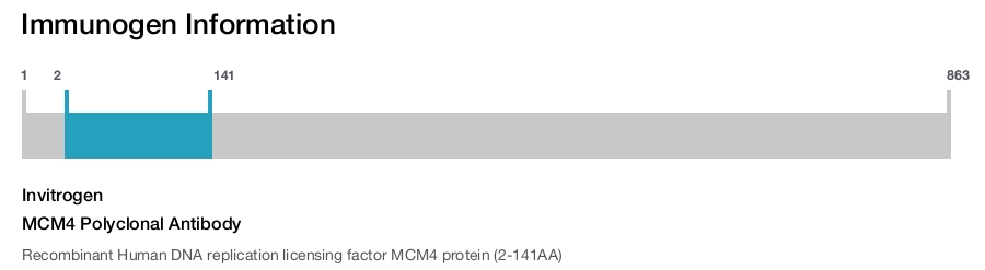 MCM4 Polyclonal Antibody