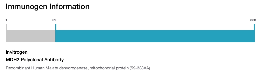 MDH2 Polyclonal Antibody