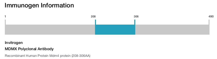 MDMX Polyclonal Antibody