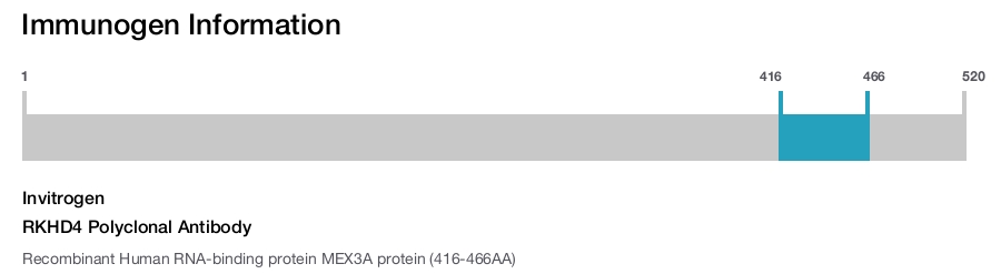 RKHD4 Polyclonal Antibody