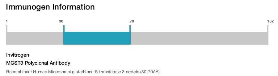 MGST3 Polyclonal Antibody