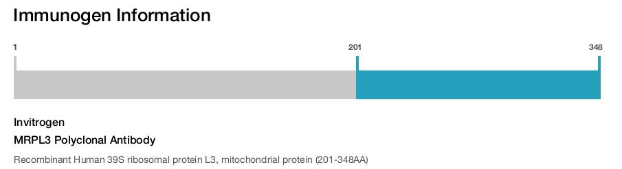 MRPL3 Polyclonal Antibody