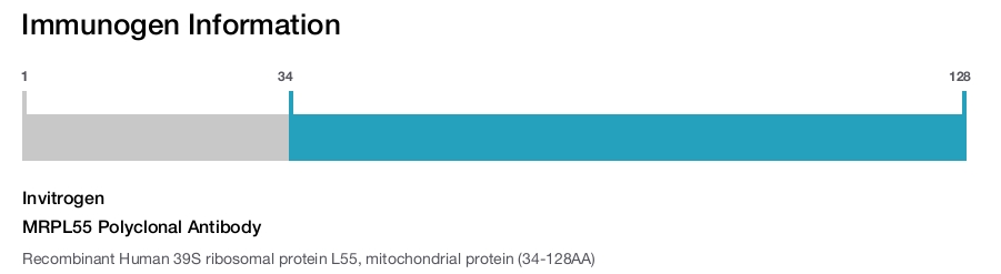 MRPL55 Polyclonal Antibody