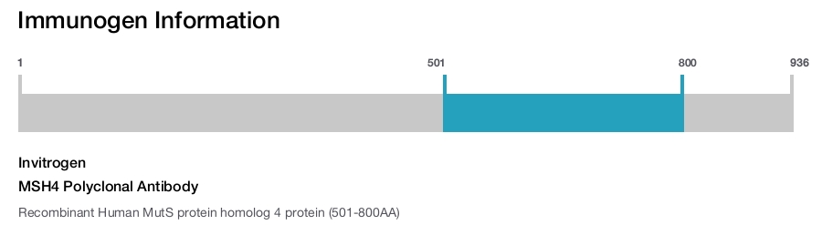 MSH4 Polyclonal Antibody