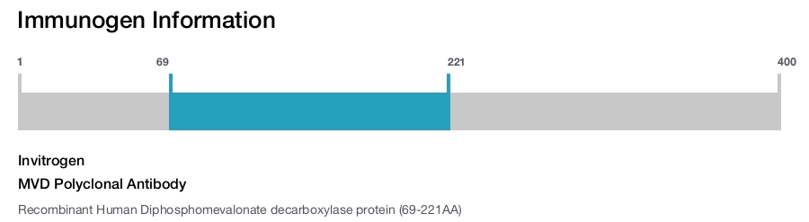 MVD Polyclonal Antibody