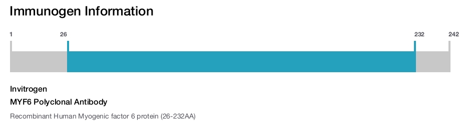 MYF6 Polyclonal Antibody