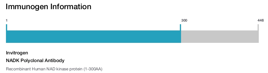 NADK Polyclonal Antibody