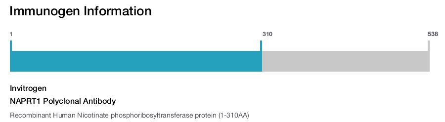 NAPRT1 Polyclonal Antibody