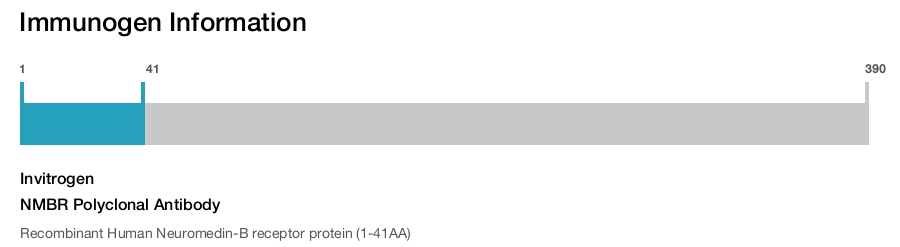 NMBR Polyclonal Antibody
