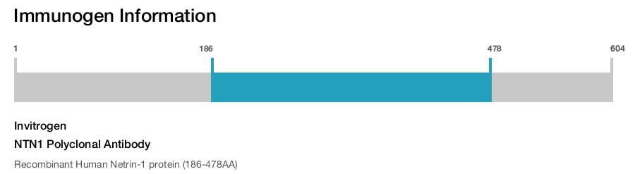 NTN1 Polyclonal Antibody