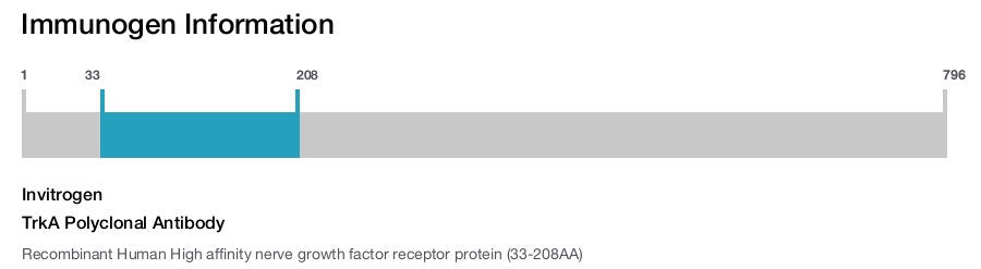 TrkA Polyclonal Antibody