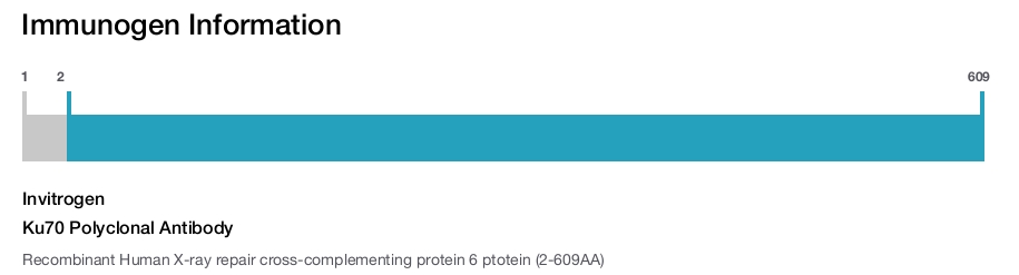 Ku70 Polyclonal Antibody
