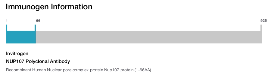 NUP107 Polyclonal Antibody