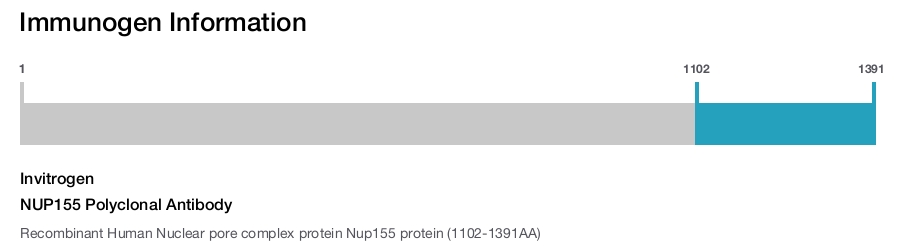 NUP155 Polyclonal Antibody