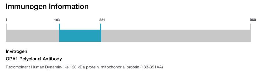 OPA1 Polyclonal Antibody