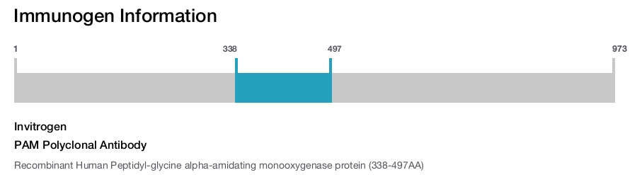 PAM Polyclonal Antibody