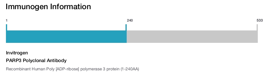 PARP3 Polyclonal Antibody