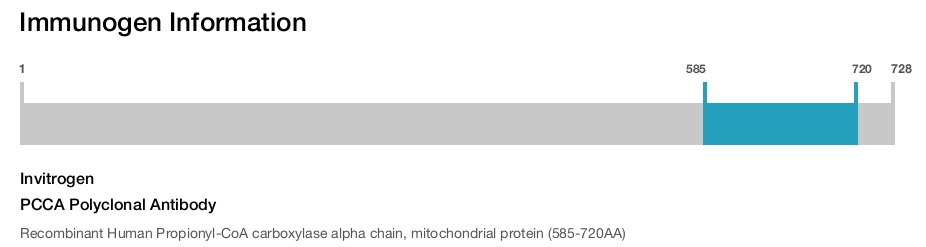 PCCA Polyclonal Antibody