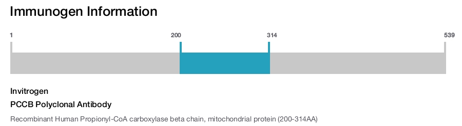 PCCB Polyclonal Antibody