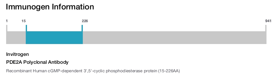 PDE2A Polyclonal Antibody