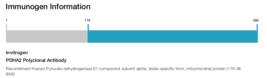PDHA2 Polyclonal Antibody