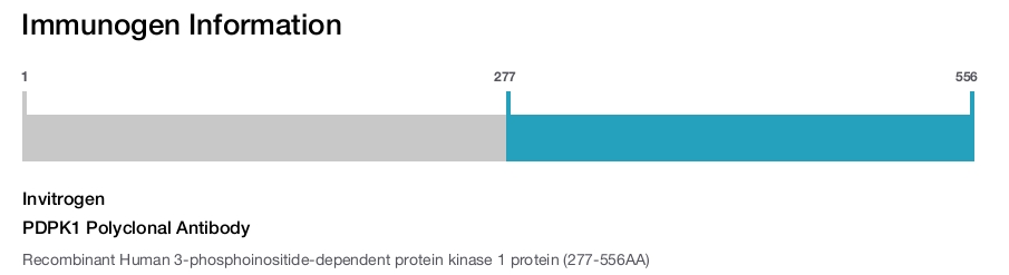 PDPK1 Polyclonal Antibody