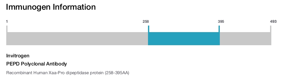PEPD Polyclonal Antibody