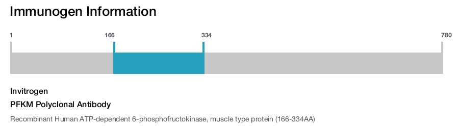 PFKM Polyclonal Antibody