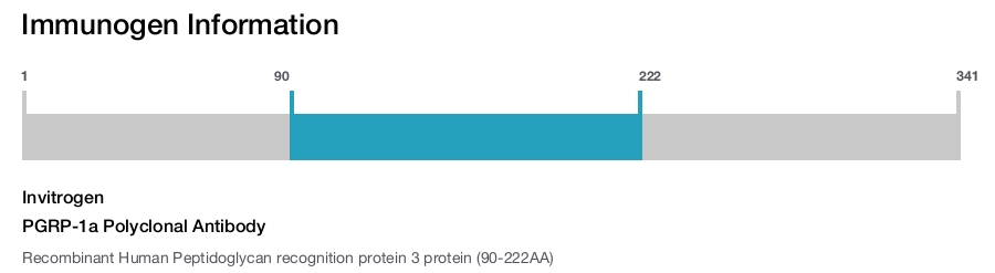 PGRP-1a Polyclonal Antibody