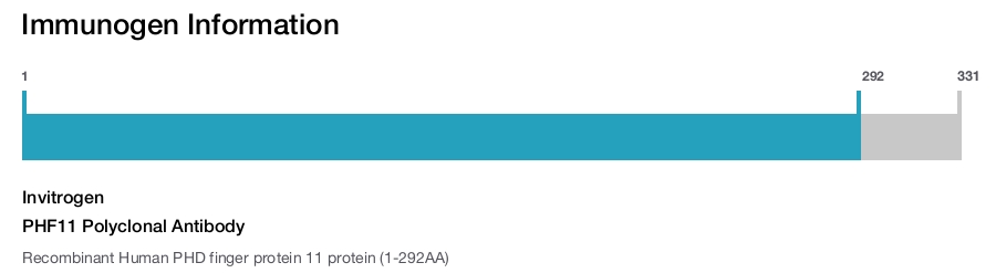 PHF11 Polyclonal Antibody