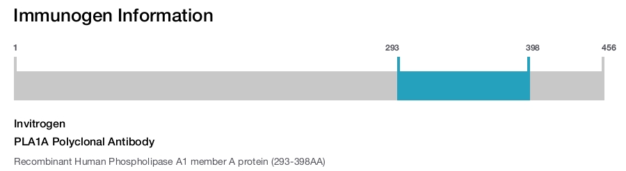 PLA1A Polyclonal Antibody