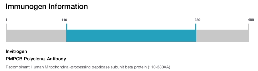 PMPCB Polyclonal Antibody