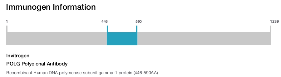 POLG Polyclonal Antibody