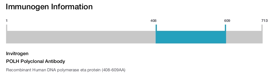 POLH Polyclonal Antibody