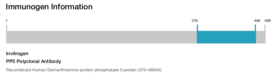 PP5 Polyclonal Antibody