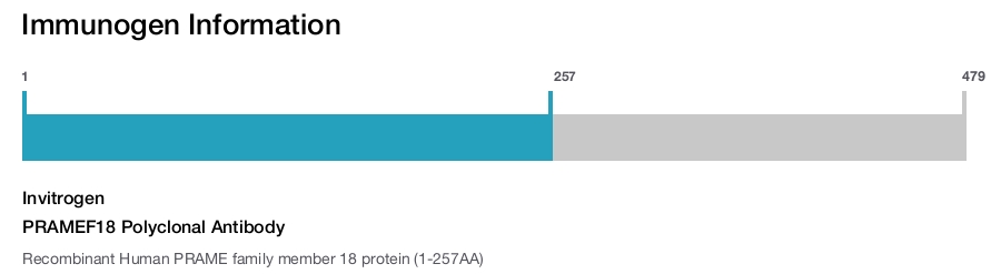 PRAMEF18 Polyclonal Antibody