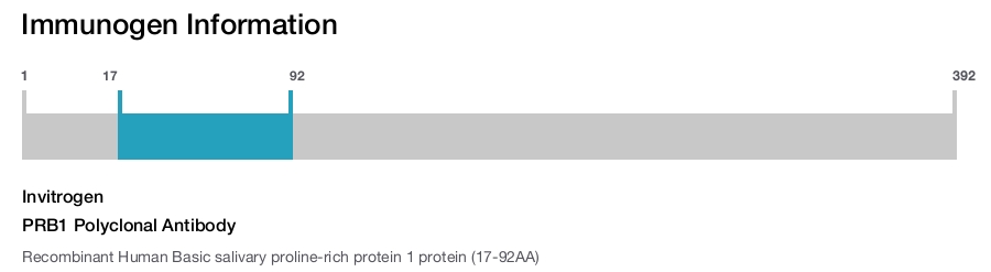 PRB1 Polyclonal Antibody