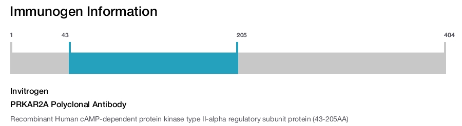 PRKAR2A Polyclonal Antibody
