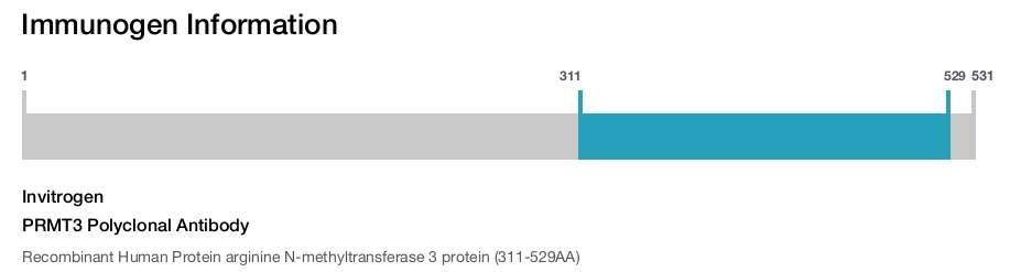 PRMT3 Polyclonal Antibody