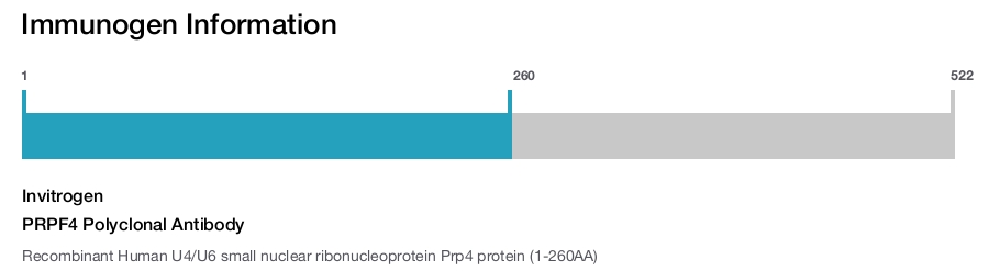 PRPF4 Polyclonal Antibody