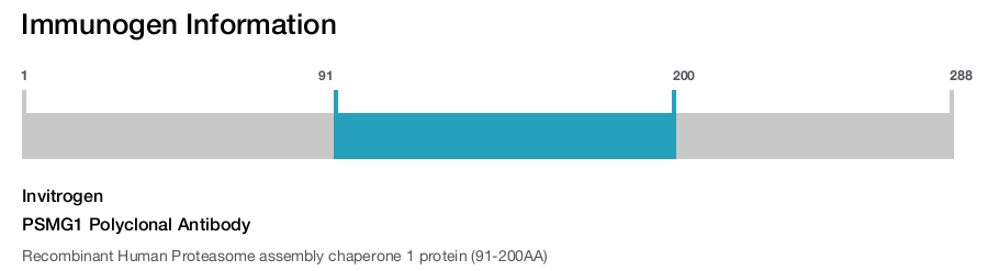 PSMG1 Polyclonal Antibody