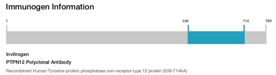 PTPN12 Polyclonal Antibody