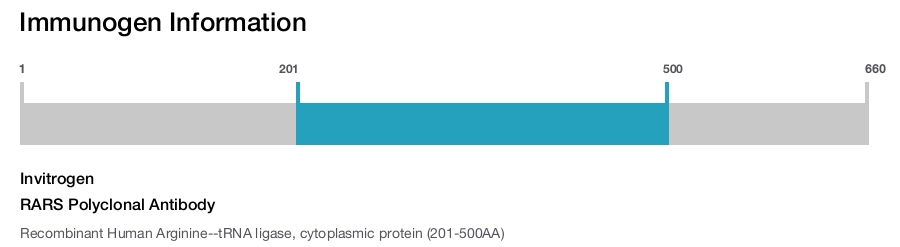 RARS Polyclonal Antibody